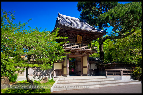 Японский чайный сад, Japanese Tea Garden, Парк Золотые Ворота, Golden Gate Park, Сан Франциско, San Francisco, Калифорния, California, СЩА, USA, Америка, America