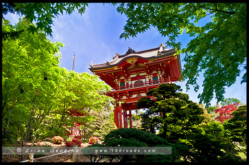 Японский чайный сад, Japanese Tea Garden, Парк Золотые Ворота, Golden Gate Park, Сан Франциско, San Francisco, Калифорния, California, СЩА, USA, Америка, America