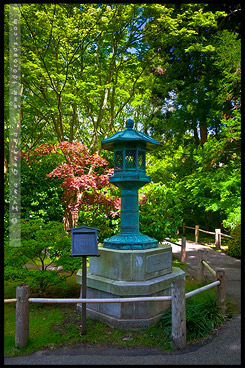 Японский чайный сад, Japanese Tea Garden, Парк Золотые Ворота, Golden Gate Park, Сан Франциско, San Francisco, Калифорния, California, СЩА, USA, Америка, America