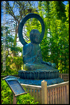 Японский чайный сад, Japanese Tea Garden, Парк Золотые Ворота, Golden Gate Park, Сан Франциско, San Francisco, Калифорния, California, СЩА, USA, Америка, America