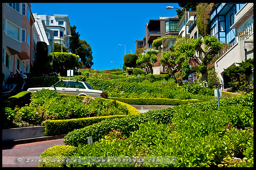 Ломбард стрит, Lombard Street, Сан Франциско, San Francisco, Калифорния, California, СЩА, USA, Америка, America