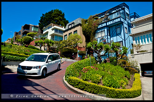 Ломбард стрит, Lombard Street, Сан Франциско, San Francisco, Калифорния, California, СЩА, USA, Америка, America