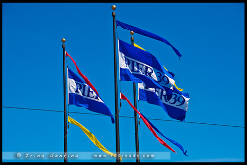 Пирс 39, Рыбацкая пристань, Fishermans Wharf, Сан Франциско, San Francisco, Калифорния, California, СЩА, USA, Америка, America