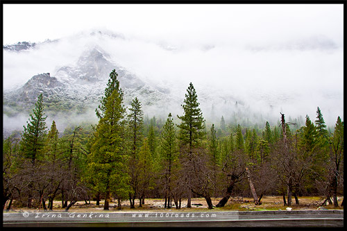 Вид от плошадки Cathedral Rocks, El Capitan, Национальный парк Йосемити, Yosemite National Park, Калифорния, California, СЩА, USA, Америка, America