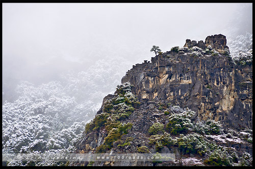 Вид от плошадки Cathedral Rocks, El Capitan, Национальный парк Йосемити, Yosemite National Park, Калифорния, California, СЩА, USA, Америка, America