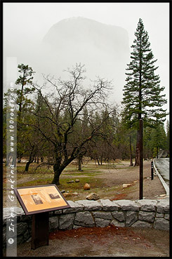 Вид от плошадки Cathedral Rocks, El Capitan, Национальный парк Йосемити, Yosemite National Park, Калифорния, California, СЩА, USA, Америка, America