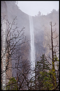 Вид от плошадки Cathedral Rocks, Bridalveil Fall, Национальный парк Йосемити, Yosemite National Park, Калифорния, California, СЩА, USA, Америка, America