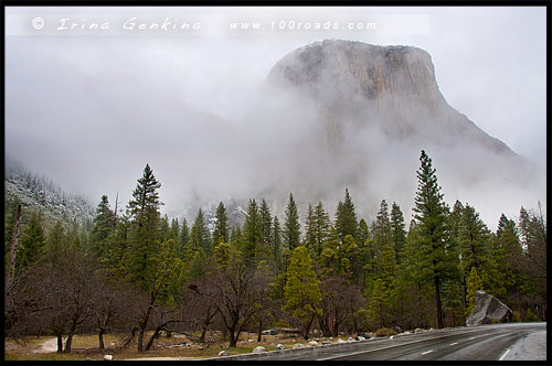 Вид от плошадки Cathedral Rocks, Bridalveil Fall, Национальный парк Йосемити, Yosemite National Park, Калифорния, California, СЩА, USA, Америка, America