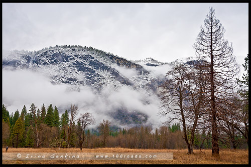 Национальный парк Йосемити, Yosemite National Park, Калифорния, California, СЩА, USA, Америка, America