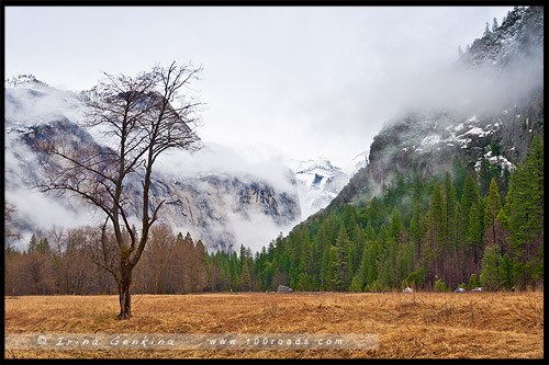 Национальный парк Йосемити, Yosemite National Park, Калифорния, California, СЩА, USA, Америка, America