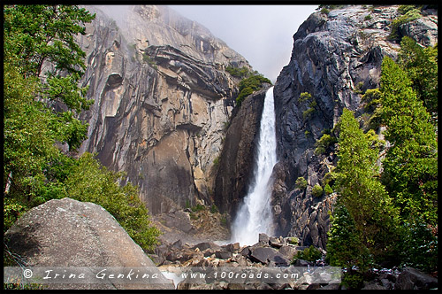 Нижний Водопад Йосемити, Lower Yosemite Fall, Национальный парк Йосемити, Yosemite National Park, Калифорния, California, СЩА, USA, Америка, America