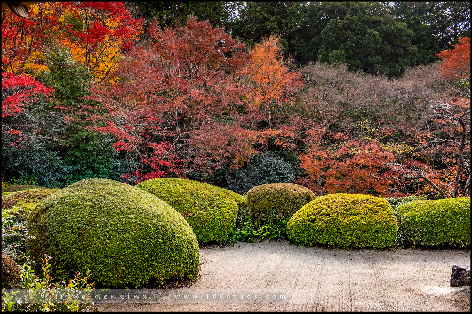 Сисэн-до (Shisen-do /詩仙堂), Сакё-ку (Sakyo-ku/ 左京区), Киото (Kyoto/ 京都市), Япония (Japan)