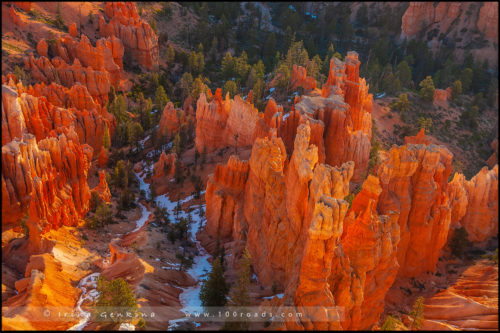 Закат, Амфитеатр Брайс, Bryce Amphitheater, Каньон Брайс, Bryce Canyon, Юта, Utah, США, USA, Америка, America