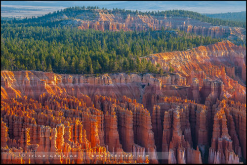 Закат, Амфитеатр Брайс, Bryce Amphitheater, Каньон Брайс, Bryce Canyon, Юта, Utah, США, USA, Америка, America