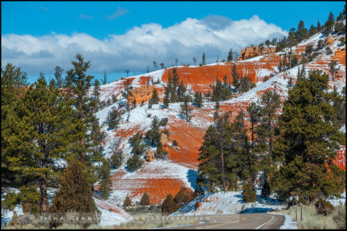 Дорога, Каньон Брайс, Bryce Canyon, Юта, Utah, США, USA, Америка, America