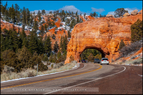 Арка, Красный Каньон, Red Canyon, Юта, Utah, США, USA, Америка, America