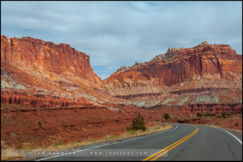 Панорамная Точка, Panorama Point, Парк Капитол Риф, Capitol Reef Nanional Park, Юта, Utah, США, USA, Америка, America