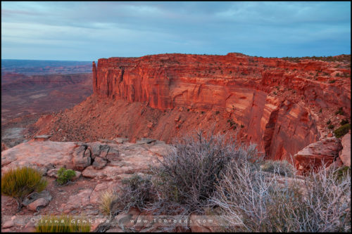 Остров в небе, Island in the Sky District, Национальный парк Каньонлэндс, Canyonlands National Park, Юта, Utah, США, USA, Америка, America