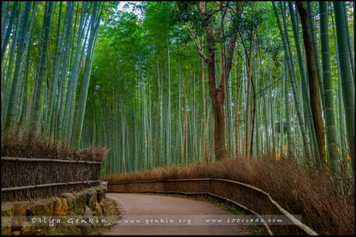 Храм Тэнрюдзи, Tenryu-ji, 天龍寺, Арасияма, Arashiyama, 嵐山, Киото, Kyoto, 京都市, регион Кансай, Kansai, Хонсю, Honshu Island, 本州, Япония, Japan, 日本