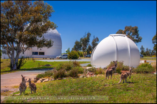 Обсерватория Маунт-Стромло, Mount Stromlo Observatory, Канберра, Canberra, Австралийская столичная территория, ACT, Австралия, Australia