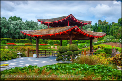 Сады Долины Хантер, Hunter Valley Gardens, Долина Хантер, Hunter Valley, Новый Южный Уэльс, NSW, Австралия, Australia