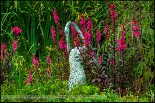 Сады Долины Хантер, Hunter Valley Gardens, Долина Хантер, Hunter Valley, Новый Южный Уэльс, NSW, Австралия, Australia