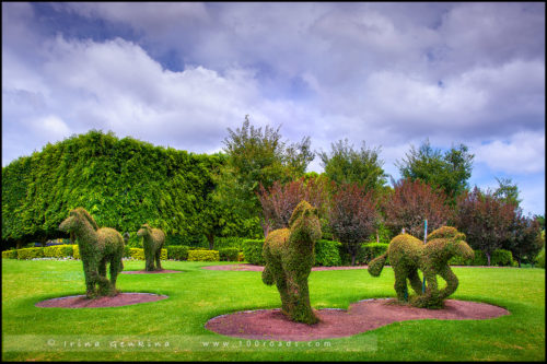 Сады Долины Хантер, Hunter Valley Gardens, Долина Хантер, Hunter Valley, Новый Южный Уэльс, NSW, Австралия, Australia