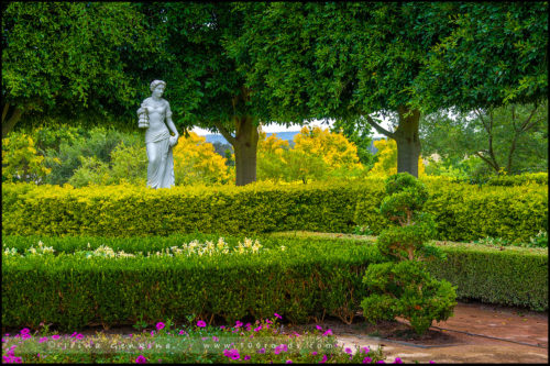 Сады Долины Хантер, Hunter Valley Gardens, Долина Хантер, Hunter Valley, Новый Южный Уэльс, NSW, Австралия, Australia