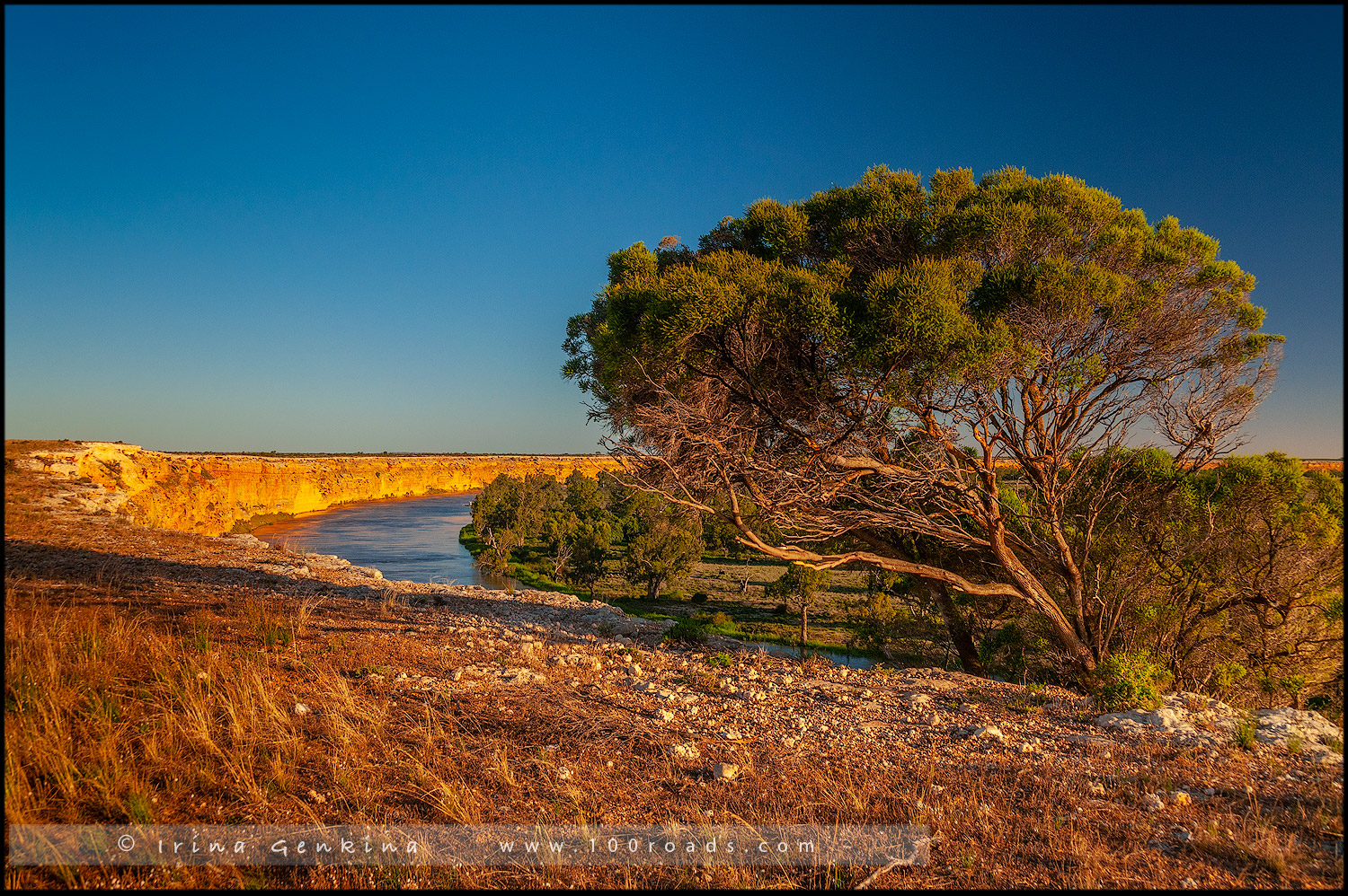 Большой изгиб Мюррея, Южная Австралия