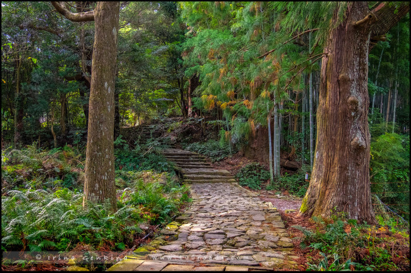 Даймонзака (Daimon-zaka / 大門坂)