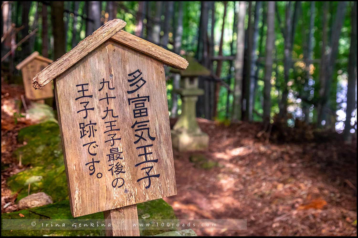 Тропа Даймонзака (Daimon-zaka / 大門坂), Кумано кодо ( 野古道), Вакаяма (Wakayama/ 和歌山), Япония