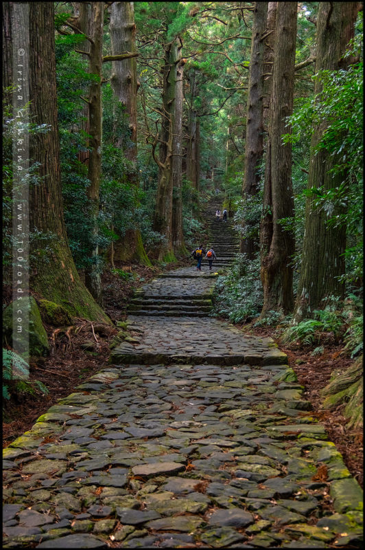 Даймонзака (Daimon-zaka / 大門坂)