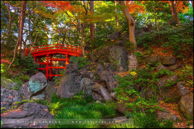 Сад Коисикава Коракуэн, Koishikawa Korakuen Garden, 小石川後楽園, Бункё, Bunkyo, 文京区, Токио, Tokyo, 東京, Регион Канто, Kanto Region, 関東地方, Хонсю, Honshu Island, 本州, Япония, Japan, 日本