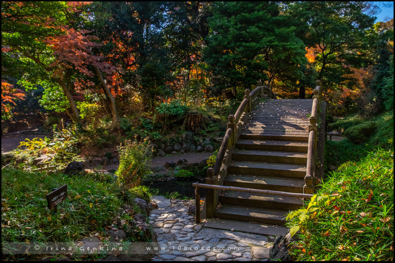 Сад Коисикава Коракуэн, Koishikawa Korakuen Garden, 小石川後楽園, Бункё, Bunkyo, 文京区, Токио, Tokyo, 東京, Регион Канто, Kanto Region, 関東地方, Хонсю, Honshu Island, 本州, Япония, Japan, 日本