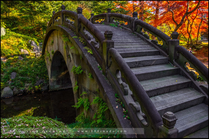 Сад Коисикава Коракуэн, Koishikawa Korakuen Garden, 小石川後楽園, Бункё, Bunkyo, 文京区, Токио, Tokyo, 東京, Регион Канто, Kanto Region, 関東地方, Хонсю, Honshu Island, 本州, Япония, Japan, 日本