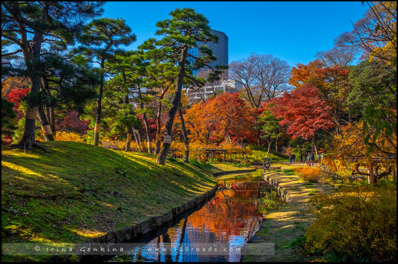 Сад Коисикава Коракуэн, Koishikawa Korakuen Garden, 小石川後楽園, Бункё, Bunkyo, 文京区, Токио, Tokyo, 東京, Регион Канто, Kanto Region, 関東地方, Хонсю, Honshu Island, 本州, Япония, Japan, 日本