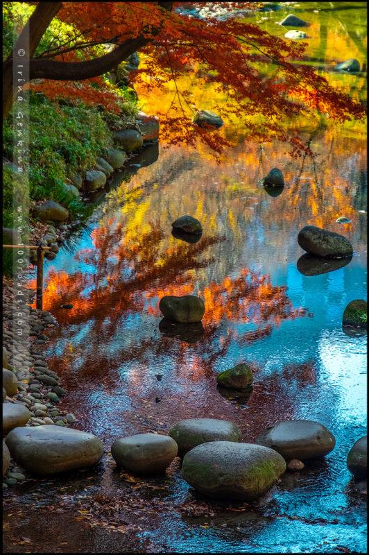 Сад Коисикава Коракуэн, Koishikawa Korakuen Garden, 小石川後楽園, Бункё, Bunkyo, 文京区, Токио, Tokyo, 東京, Регион Канто, Kanto Region, 関東地方, Хонсю, Honshu Island, 本州, Япония, Japan, 日本