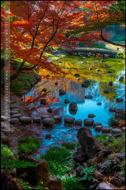 Сад Коисикава Коракуэн, Koishikawa Korakuen Garden, 小石川後楽園, Бункё, Bunkyo, 文京区, Токио, Tokyo, 東京, Регион Канто, Kanto Region, 関東地方, Хонсю, Honshu Island, 本州, Япония, Japan, 日本