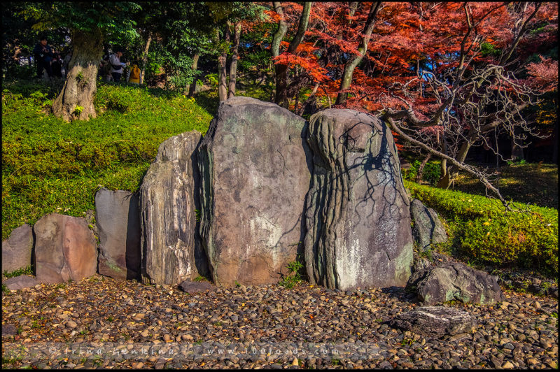 Сад Коисикава Коракуэн, Koishikawa Korakuen Garden, 小石川後楽園, Бункё, Bunkyo, 文京区, Токио, Tokyo, 東京, Регион Канто, Kanto Region, 関東地方, Хонсю, Honshu Island, 本州, Япония, Japan, 日本