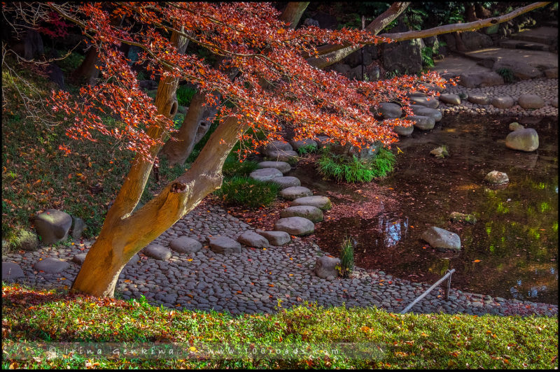 Сад Коисикава Коракуэн, Koishikawa Korakuen Garden, 小石川後楽園, Бункё, Bunkyo, 文京区, Токио, Tokyo, 東京, Регион Канто, Kanto Region, 関東地方, Хонсю, Honshu Island, 本州, Япония, Japan, 日本