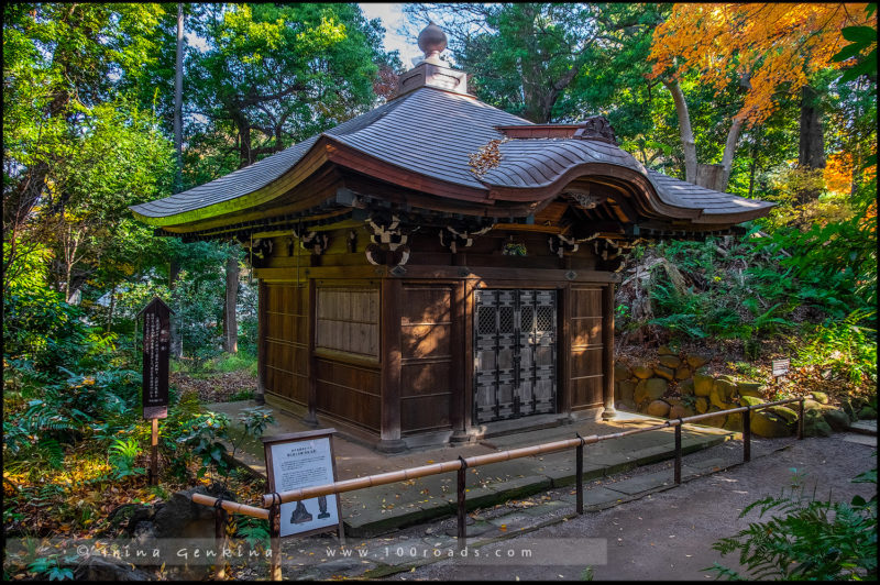 Сад Коисикава Коракуэн, Koishikawa Korakuen Garden, 小石川後楽園, Бункё, Bunkyo, 文京区, Токио, Tokyo, 東京, Регион Канто, Kanto Region, 関東地方, Хонсю, Honshu Island, 本州, Япония, Japan, 日本