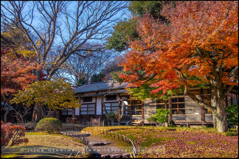 Сад Коисикава Коракуэн, Koishikawa Korakuen Garden, 小石川後楽園, Бункё, Bunkyo, 文京区, Токио, Tokyo, 東京, Регион Канто, Kanto Region, 関東地方, Хонсю, Honshu Island, 本州, Япония, Japan, 日本