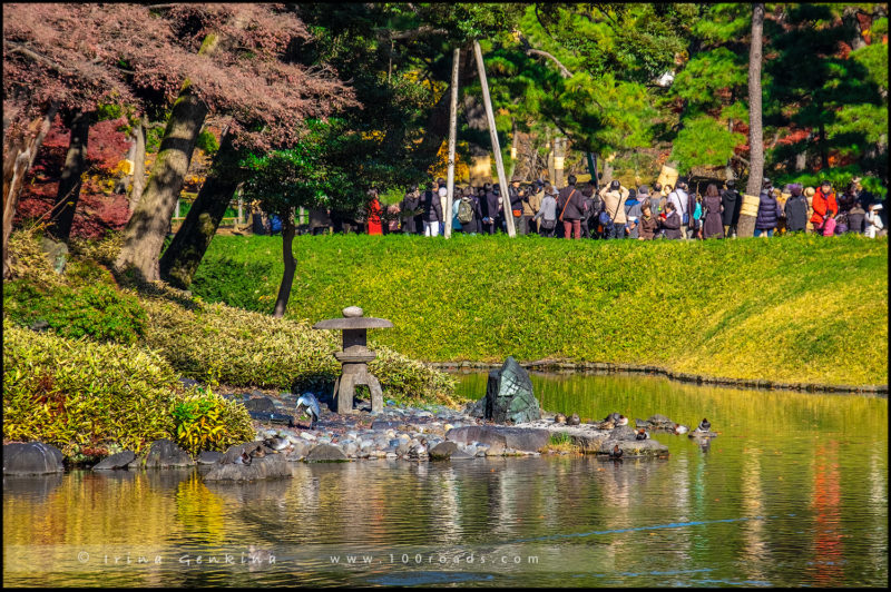 Сад Коисикава Коракуэн, Koishikawa Korakuen Garden, 小石川後楽園, Бункё, Bunkyo, 文京区, Токио, Tokyo, 東京, Регион Канто, Kanto Region, 関東地方, Хонсю, Honshu Island, 本州, Япония, Japan, 日本