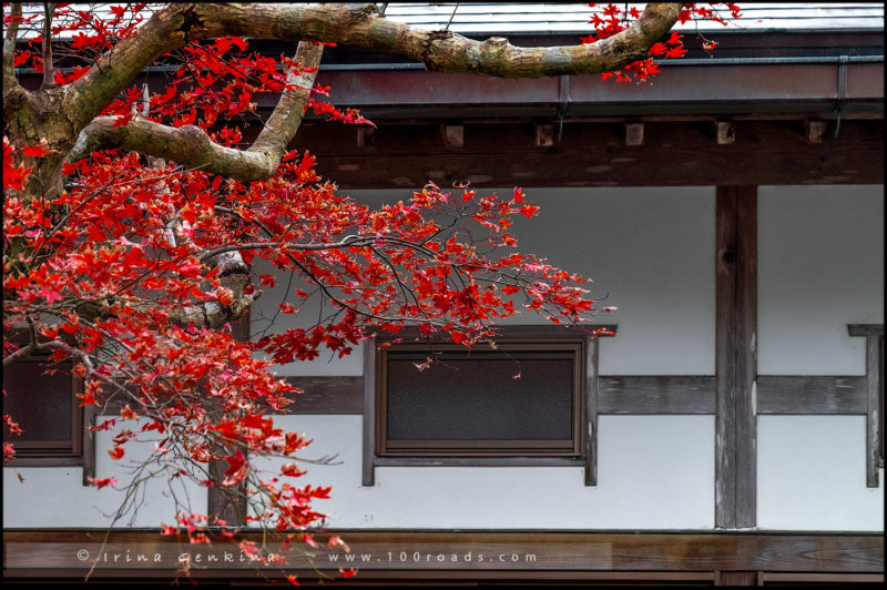 Окно храма Кумано Начи Тайша (Kumano Nachi Taisha / 熊野那智大社 )