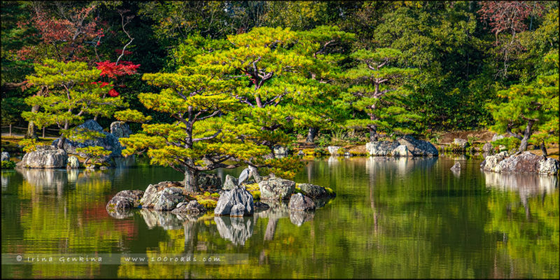 Золотой павильон – Кинкаку-дзи (Kinkaku-ji/金閣寺), Киото (Kyoto), Япония (Japan)