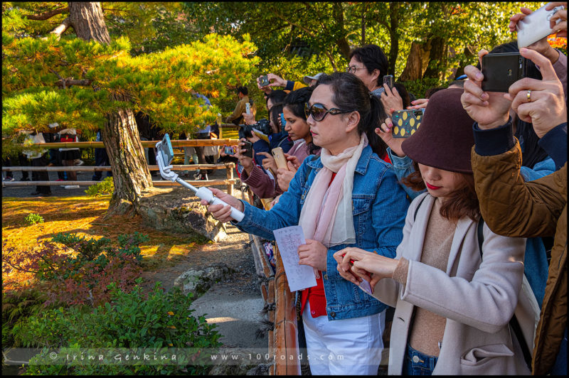 Золотой павильон – Кинкаку-дзи (Kinkaku-ji/金閣寺), Киото (Kyoto), Япония (Japan)