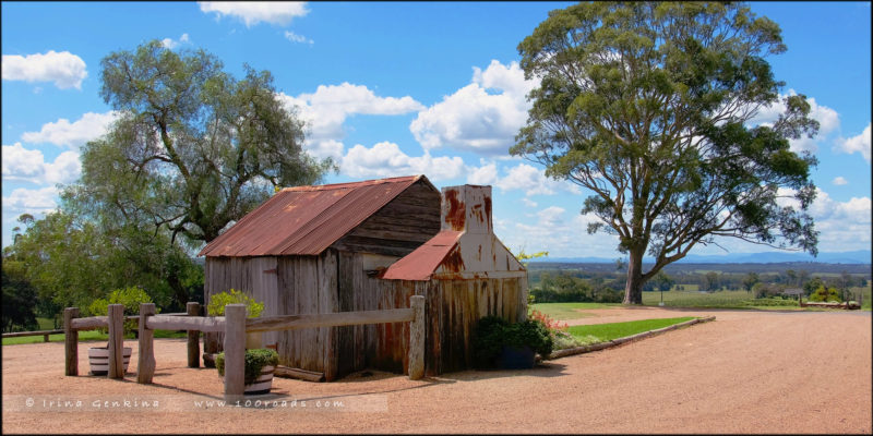 Tyrrell's Wines, Долина Хантер (Hunter Valley), NSW, Австралия (Australia)