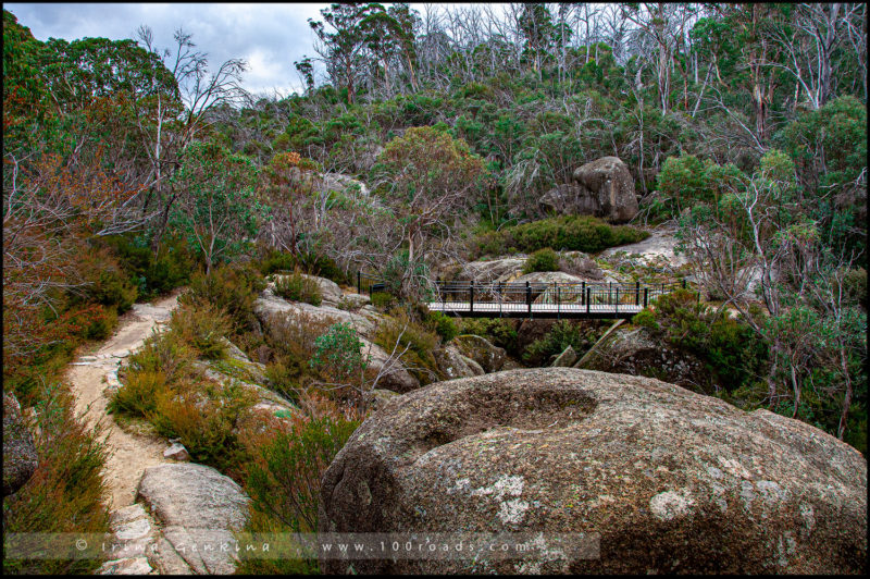  -  Тропа «Gorge Heritage Walk» - Парк Горы Баффало, Mount Buffalo, Викторианские Альпы, Victorian Alps, Виктория, Victoria, Австралия, Australia