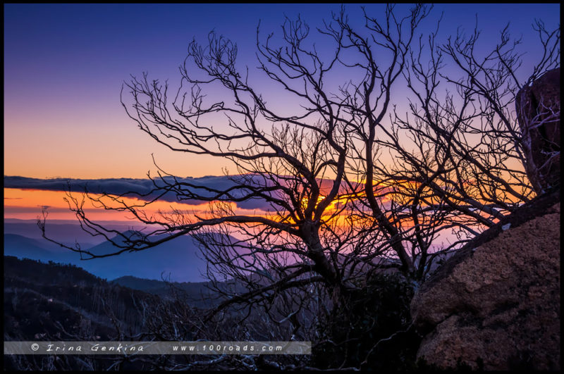  - Закат с плеча «The Cathedral» - Парк Горы Баффало, Mount Buffalo, Викторианские Альпы, Victorian Alps, Виктория, Victoria, Австралия, Australia