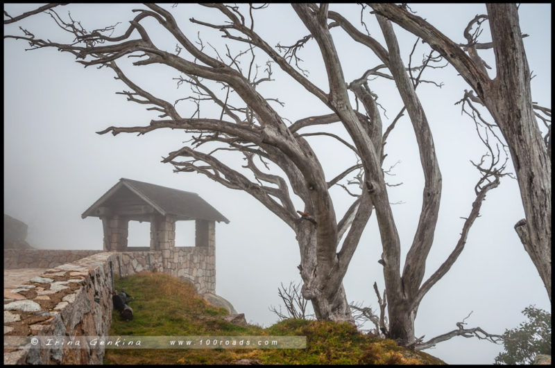 – Вид от начала трека к смотровой площадке «The Horn» - Парк Горы Баффало, Mount Buffalo, Викторианские Альпы, Victorian Alps, Виктория, Victoria, Австралия, Australia